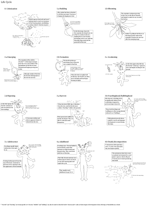 P. Fructus Life Cycle